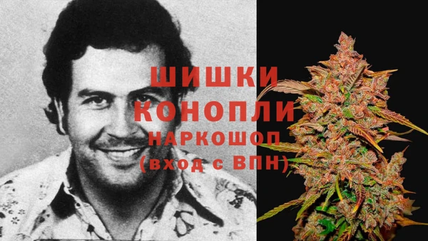 мдпв Горнозаводск