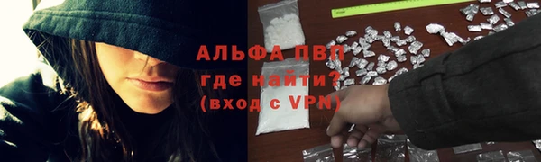 мдпв Горнозаводск