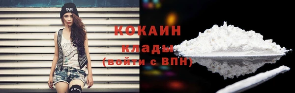 мдпв Горнозаводск