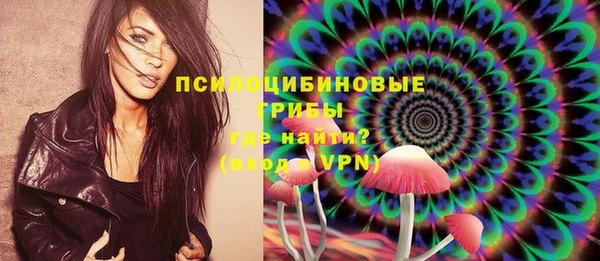 mix Горняк