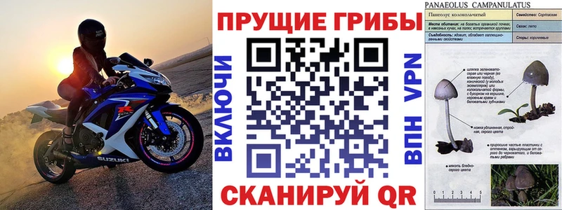 Купить где  Нелидово  Галлюциногенные грибы мухоморы 
